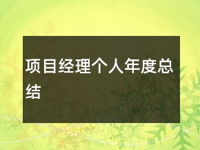 項(xiàng)目經(jīng)理個人年度總結(jié)
