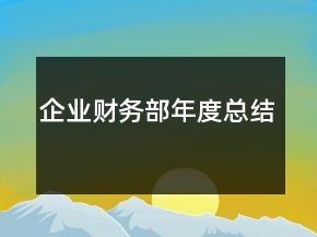 企業(yè)財務(wù)部年度總結(jié)