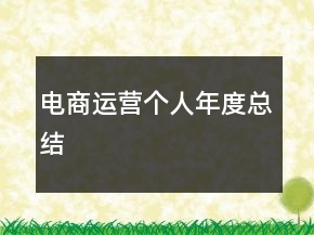 電商運(yùn)營個(gè)人年度總結(jié)