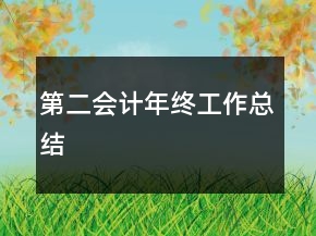 第二會計年終工作總結(jié)