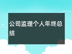 公司監(jiān)理個人年終總結(jié)