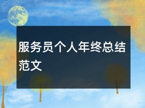 服務(wù)員個人年終總結(jié)范文