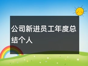 公司新進員工年度總結(jié)個人