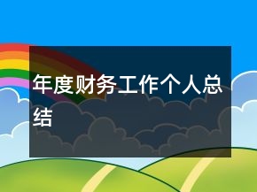 年度財務(wù)工作個人總結(jié)