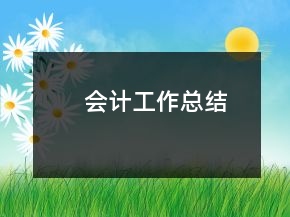 會計工作總結(jié)