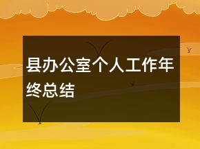 縣辦公室個(gè)人工作年終總結(jié)