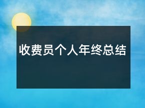收費員個人年終總結