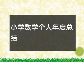 小學(xué)數(shù)學(xué)個人年度總結(jié)