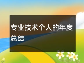 專業(yè)技術個人的年度總結