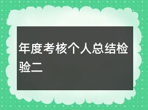 年度考核個人總結(jié)檢驗二