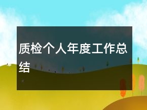 質(zhì)檢個人年度工作總結(jié)