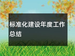 標準化建設年度工作總結