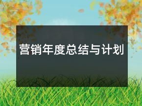 營銷年度總結(jié)與計(jì)劃