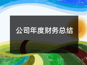 公司年度財(cái)務(wù)總結(jié)