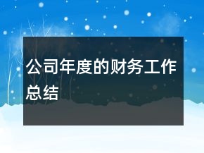 公司年度的財(cái)務(wù)工作總結(jié)