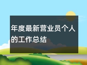 年度最新營業(yè)員個人的工作總結(jié)