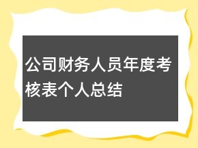 公司財(cái)務(wù)人員年度考核表個(gè)人總結(jié)