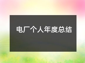 電廠個人年度總結(jié)