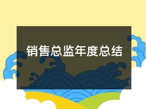 銷售總監(jiān)年度總結