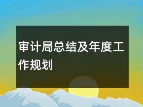 審計(jì)局總結(jié)及年度工作規(guī)劃