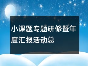 “小課題”專(zhuān)題研修暨年度匯報(bào)活動(dòng)總結(jié)