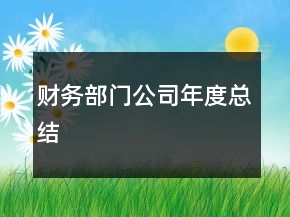 財務(wù)部門公司年度總結(jié)