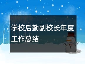學(xué)校后勤副校長(zhǎng)年度工作總結(jié)