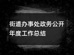 街道辦事處政務(wù)公開年度工作總結(jié)