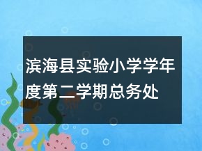 濱海縣實(shí)驗(yàn)小學(xué)學(xué)年度第二學(xué)期總務(wù)處工作總結(jié)