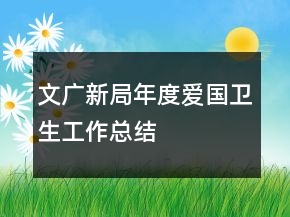 文廣新局年度愛國(guó)衛(wèi)生工作總結(jié)