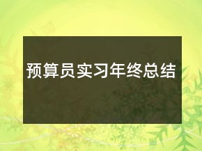 預(yù)算員實習(xí)年終總結(jié)