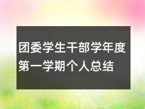 團委學生干部學年度第一學期個人總結(jié)