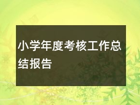 小學(xué)年度考核工作總結(jié)報(bào)告