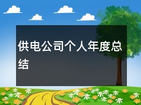 供電公司個人年度總結(jié)