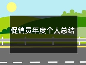 促銷員年度個(gè)人總結(jié)