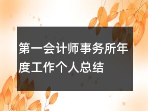 第一會計師事務(wù)所年度工作個人總結(jié)