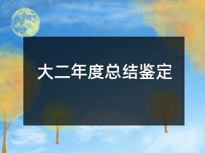 大二年度總結鑒定