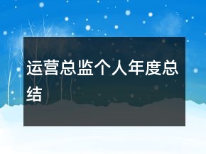 運營總監(jiān)個人年度總結(jié)