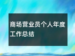 商場(chǎng)營業(yè)員個(gè)人年度工作總結(jié)