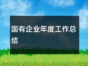 國(guó)有企業(yè)年度工作總結(jié)