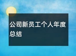 公司新員工個人年度總結(jié)