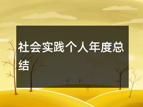 社會實踐個人年度總結(jié)