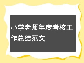 小學老師年度考核工作總結范文