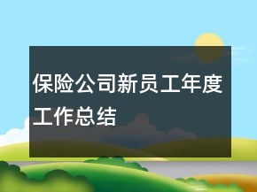 保險公司新員工年度工作總結(jié)
