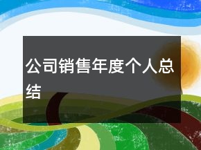 公司銷售年度個(gè)人總結(jié)