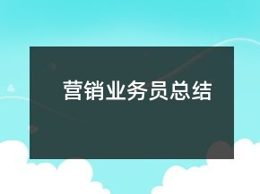 營(yíng)銷業(yè)務(wù)員總結(jié)