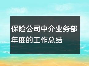 保險(xiǎn)公司中介業(yè)務(wù)部年度的工作總結(jié)