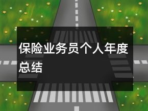 保險業(yè)務員個人年度總結