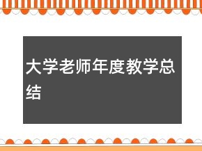 大學(xué)老師年度教學(xué)總結(jié)