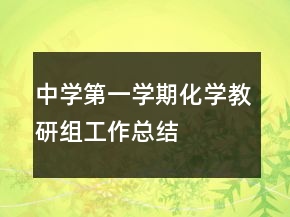中學(xué)第一學(xué)期化學(xué)教研組工作總結(jié)